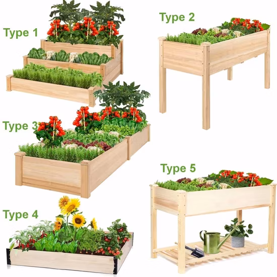5 Types Fir Wood Garden Bed Resists Rotting Backyard Patio Grow Flowers